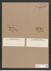 Navicula sp. (de-Toni-Nr.: Genus 1) Zeichnungen Sammlung Grunow Nr. 1621 (NHMW-BOT-W0368178)